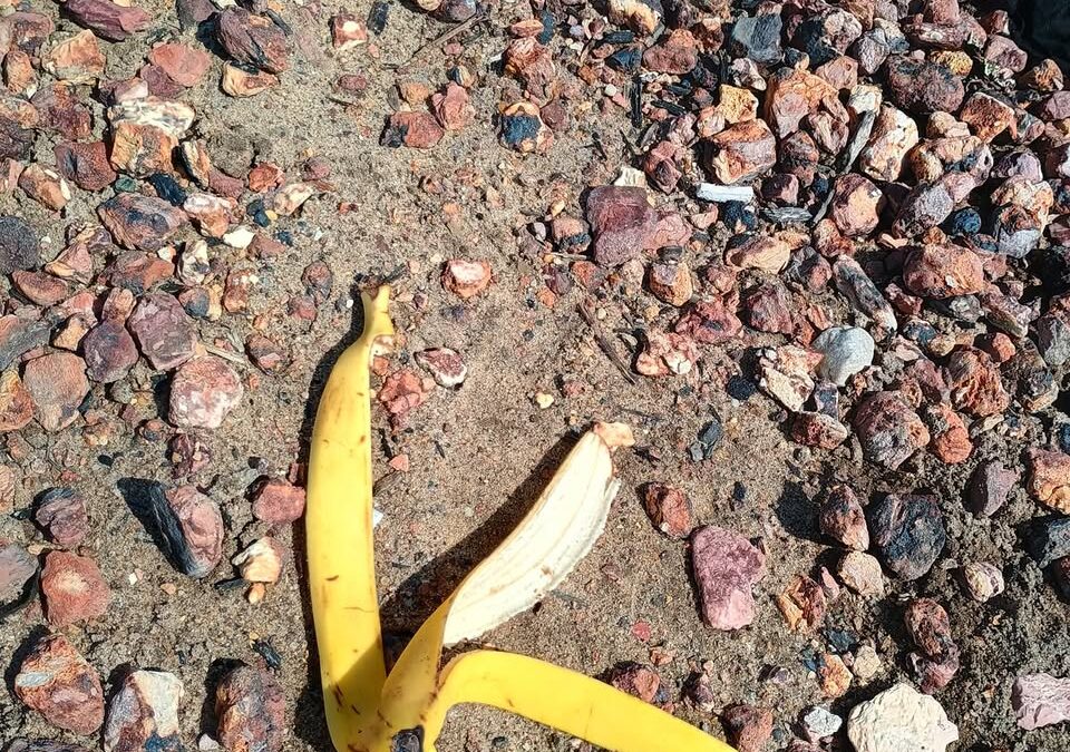 De Bananenschil, hij gaat lekker, of toch niet…